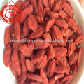 Néflier de fruit de goji de Barbarie rouge néflier de baie de goji organique pour dropshipping